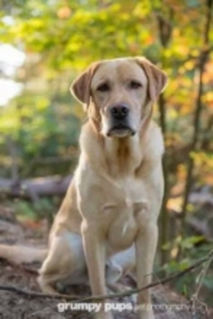 Max Charlesworth Profile Photo