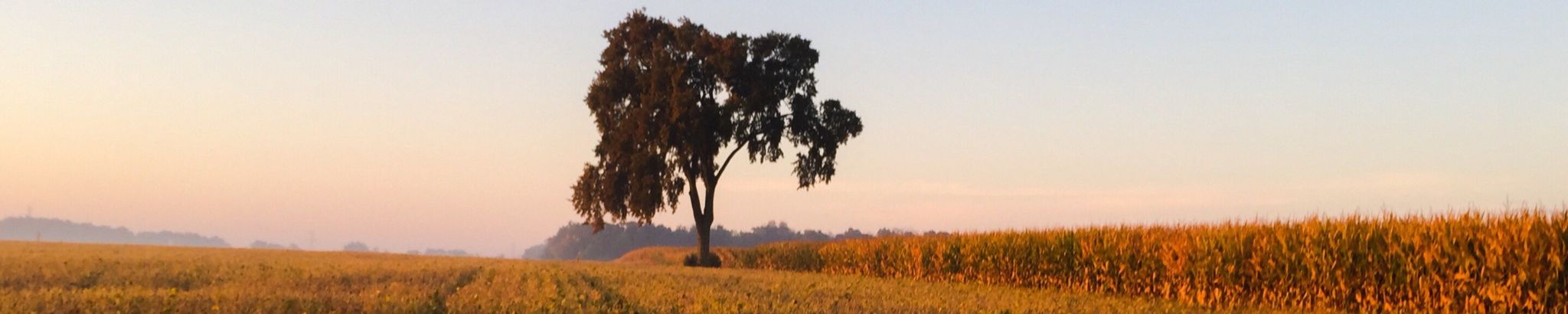 Cover photo for Willard Paul Kunze's Obituary