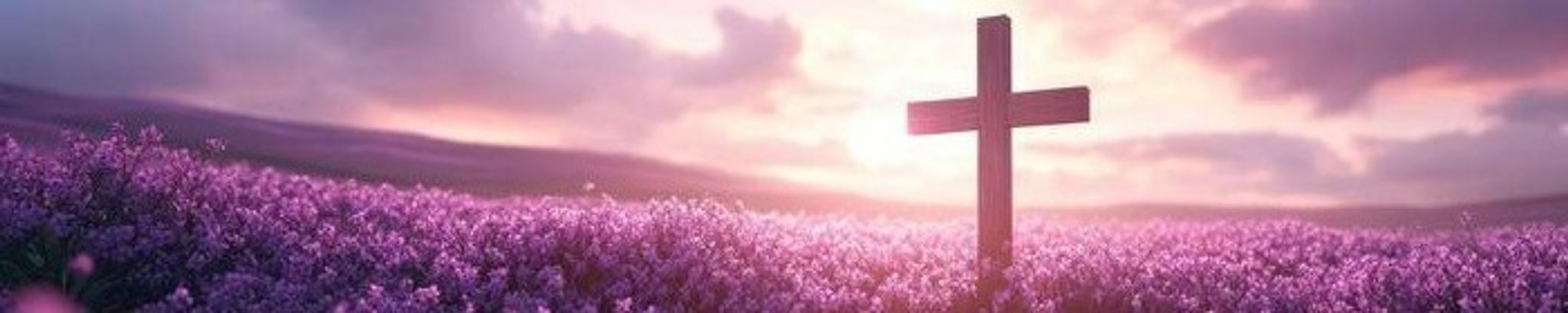 Cover for Kara Nevin's Obituary