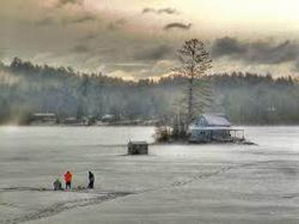 David White Profile Photo