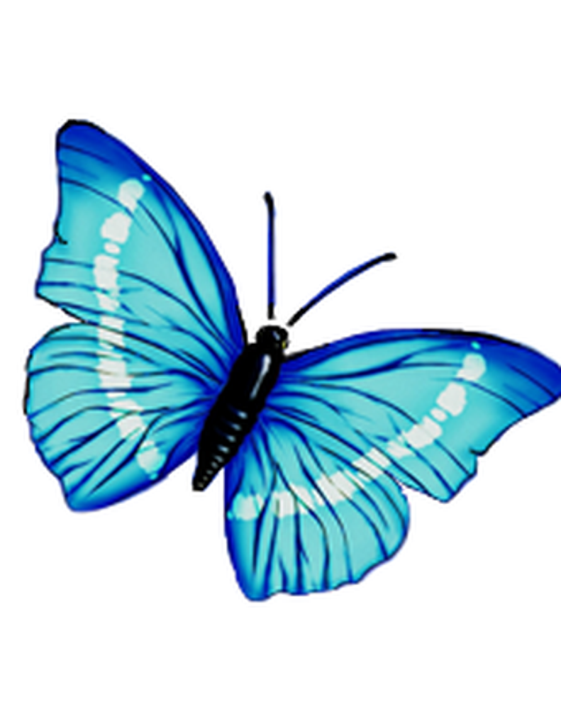 Wilma "Jane" (Smallwood) Bell