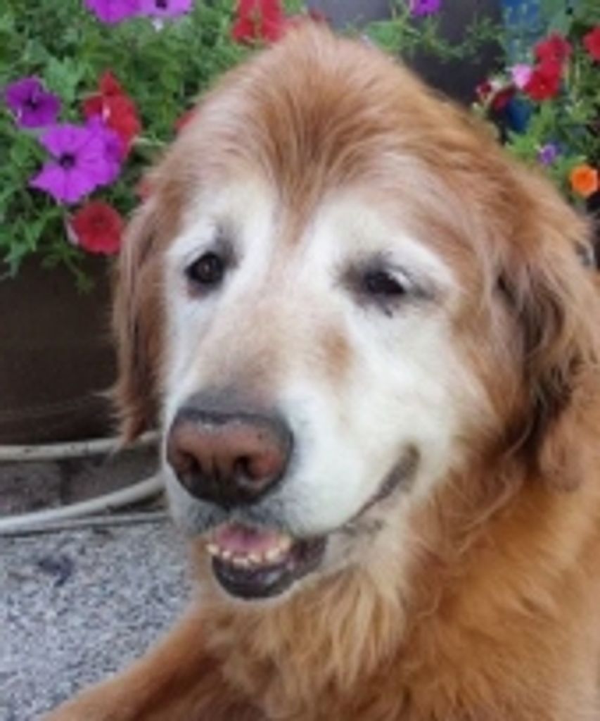 Zoe Yasenak Profile Photo