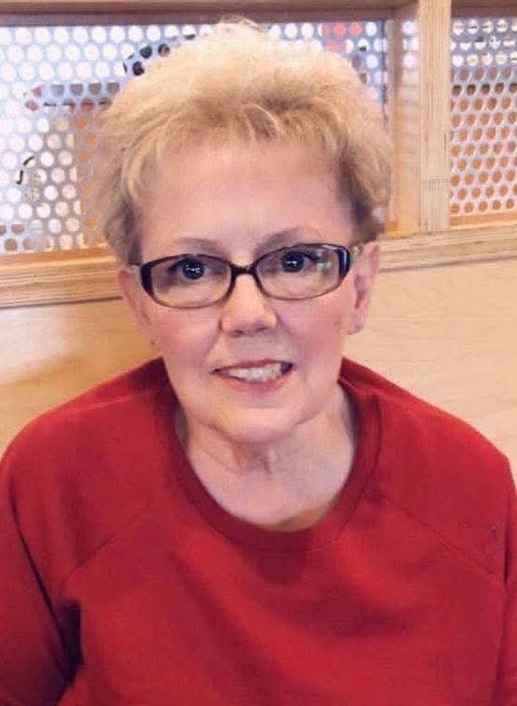 Donna Sue Collins Profile Photo