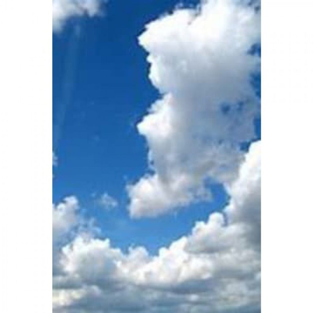 Hester Etta Whisler Profile Photo