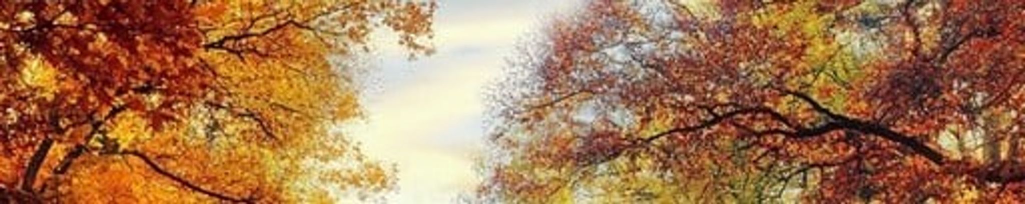 Cover photo for Alma Taylor's Obituary