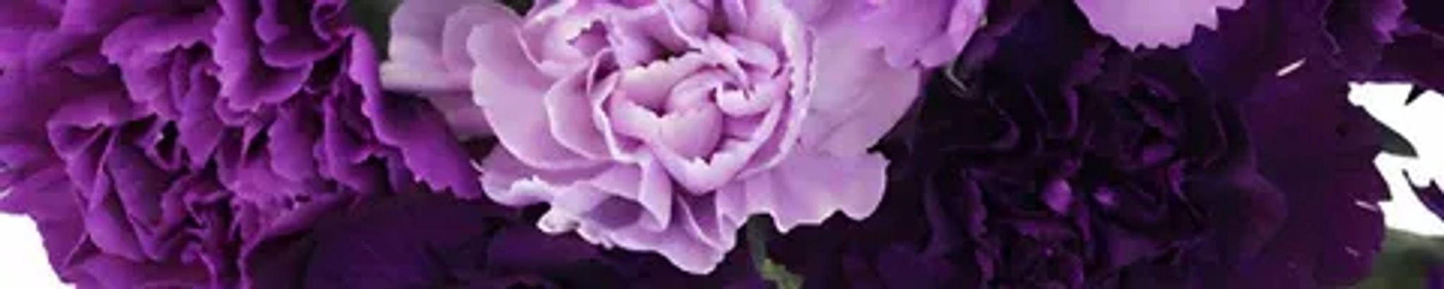 Cover photo for Georgette Brokopp's Obituary