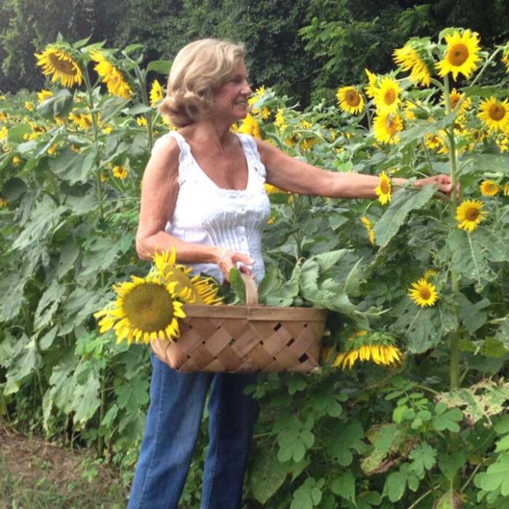 Meredith Marie (Webb)  Webb