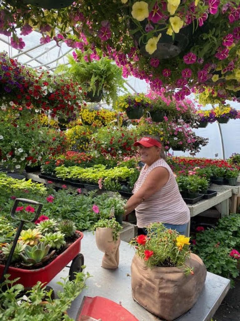 Nola Lea Gregg Profile Photo