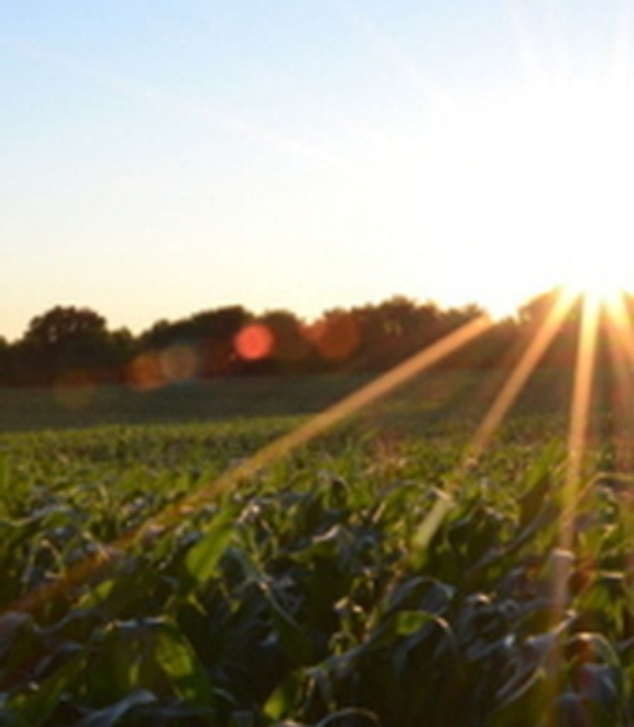 Dione Malana Profile Photo