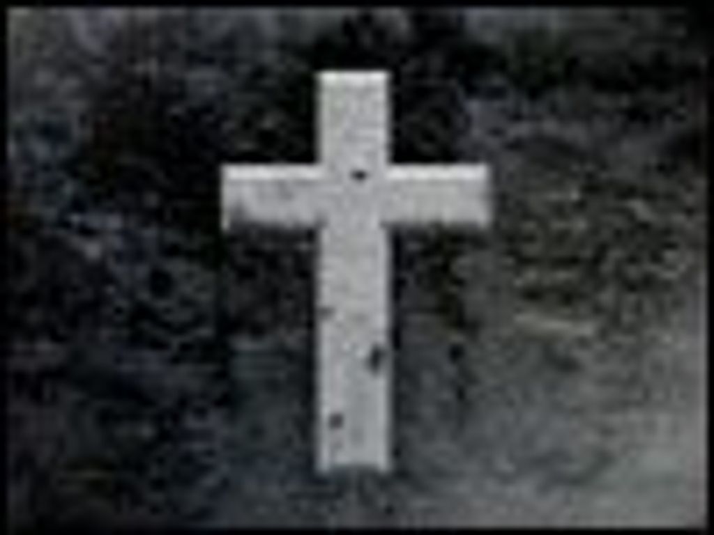 Zachary Levi Herndon