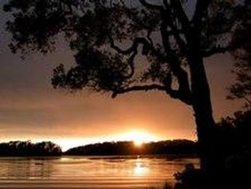 Thomas Michael Sims Profile Photo