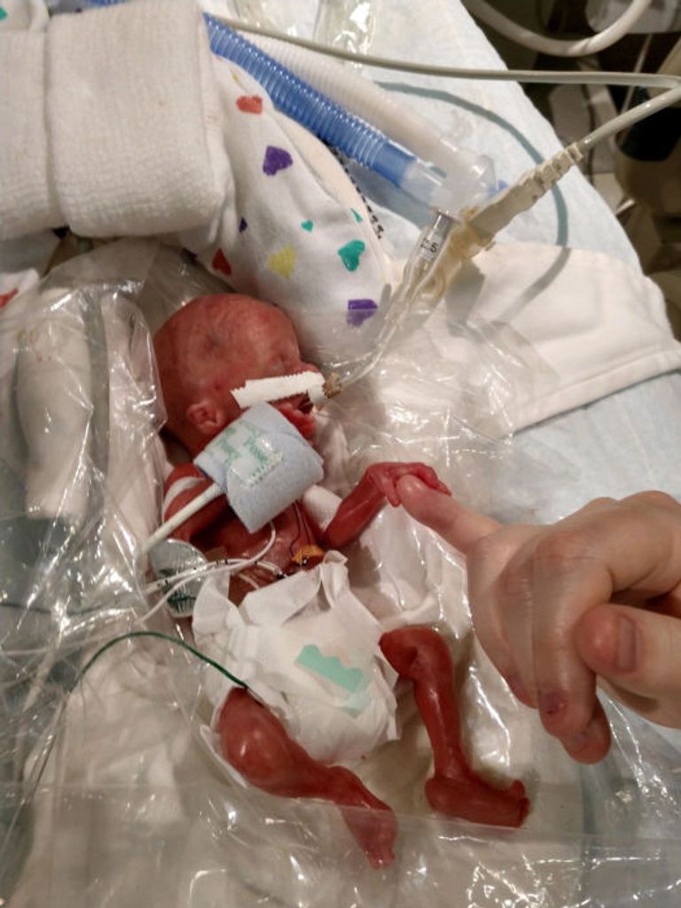 Declan Michael Jeffery Walsh