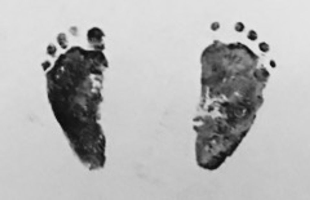 Hannah Lee Dudley