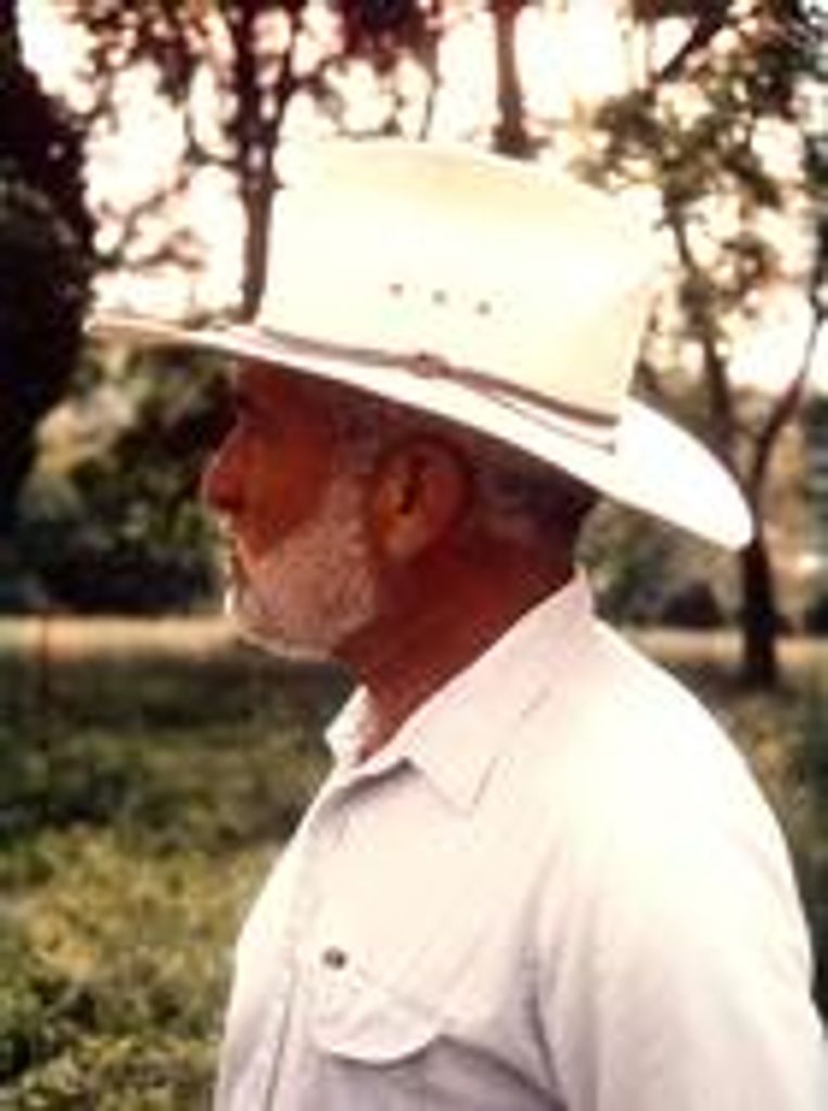 James Collings Profile Photo
