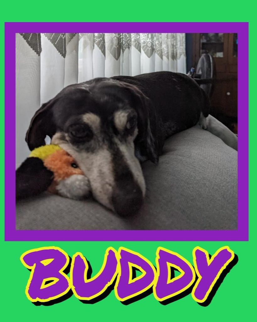 Buddy Gear