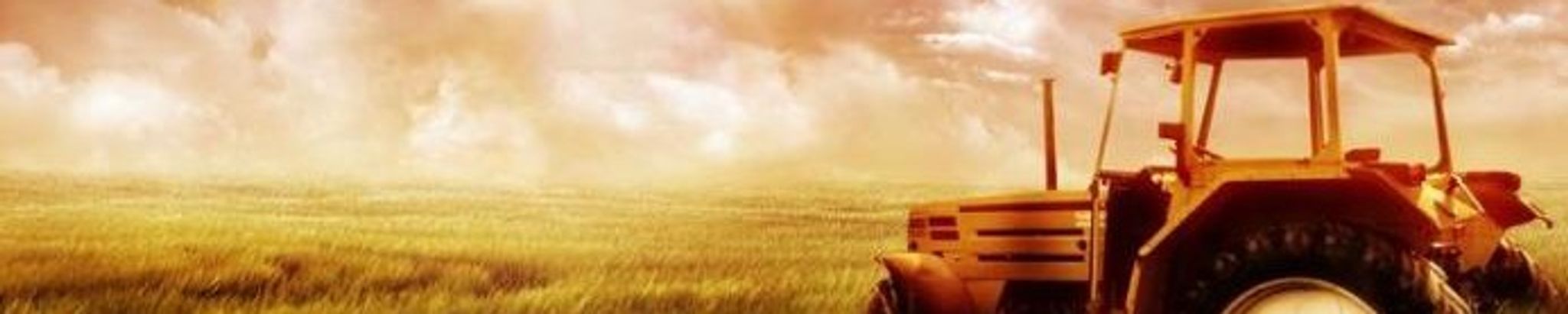 Cover for Christopher Kenneth Ellis's Obituary