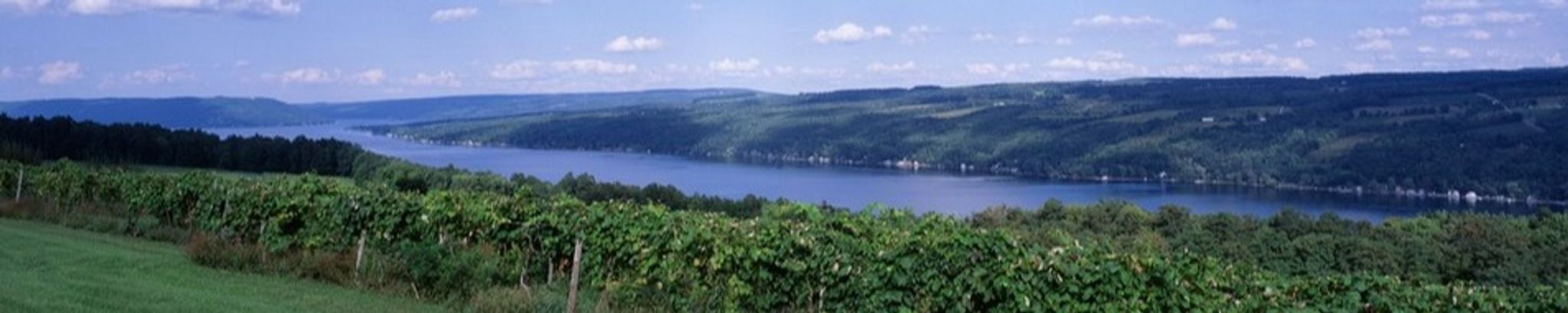 Cover photo for Karen L. Richter's Obituary