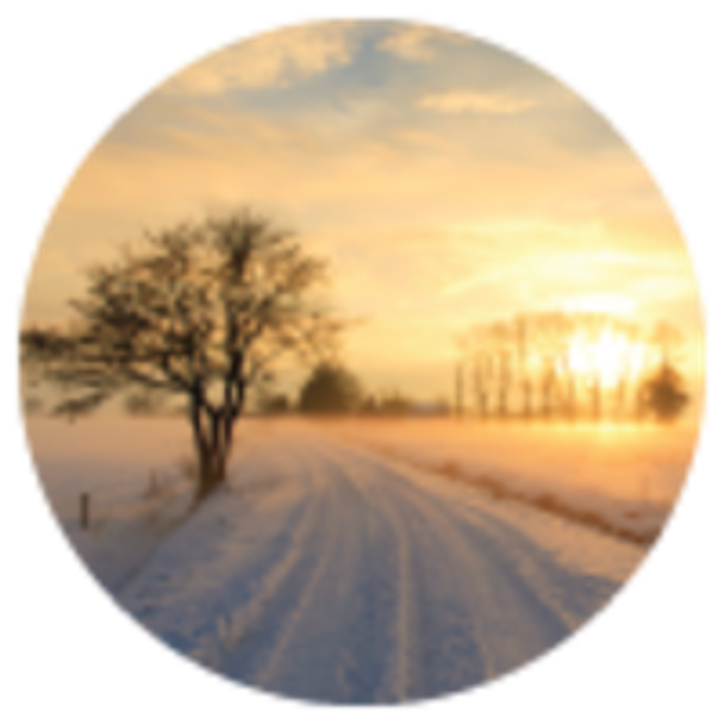 Shirley  Louise (Lang)  Owens Profile Photo