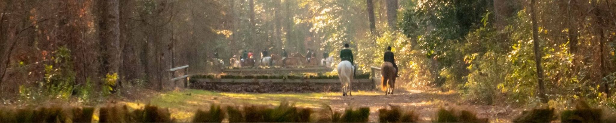 Cover for Linzee (John) Whittaker's Obituary