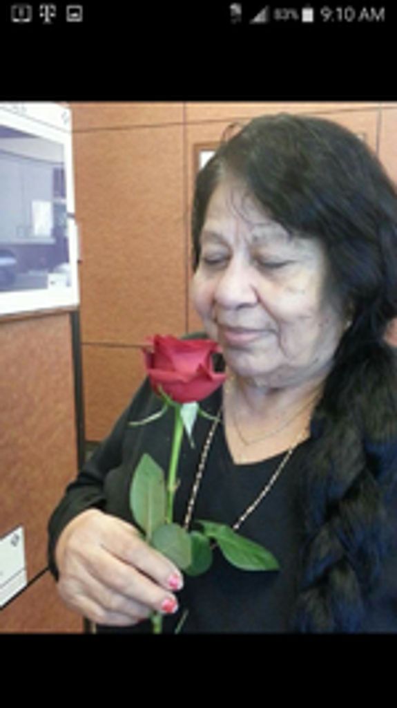 Rosa (Castillo)  Hernandez