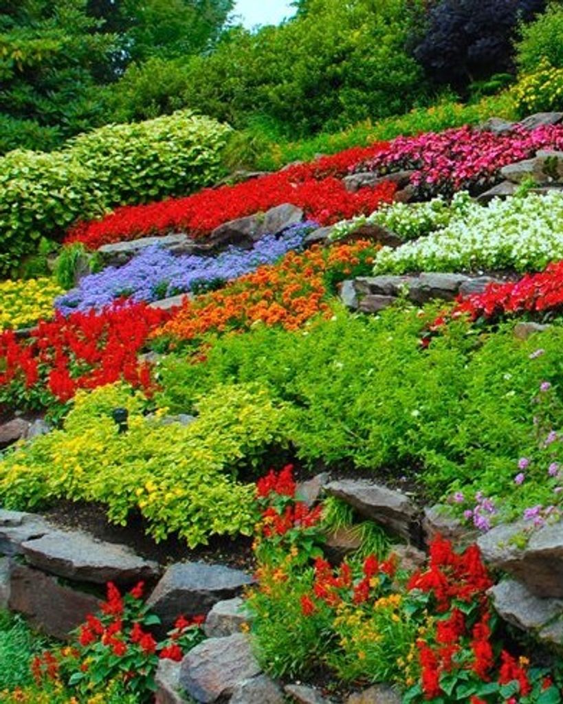 Dorothy Ann Caldwell Gomez