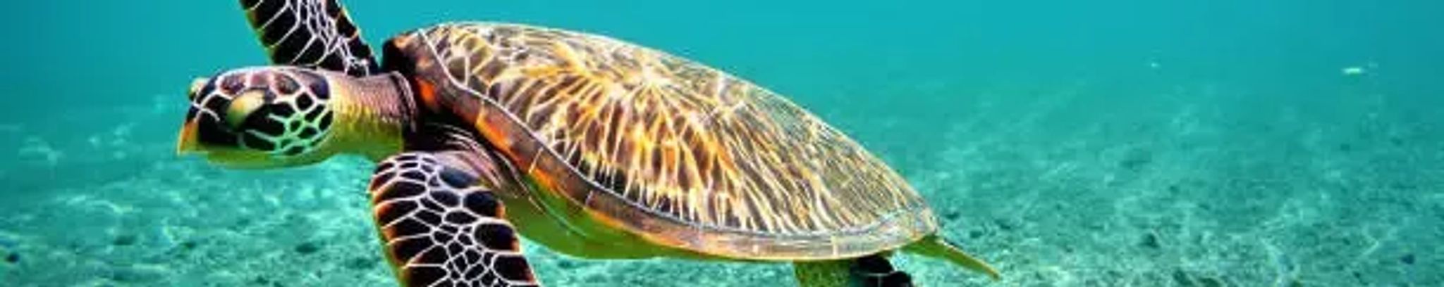 Cover for Jill N. Walters's Obituary