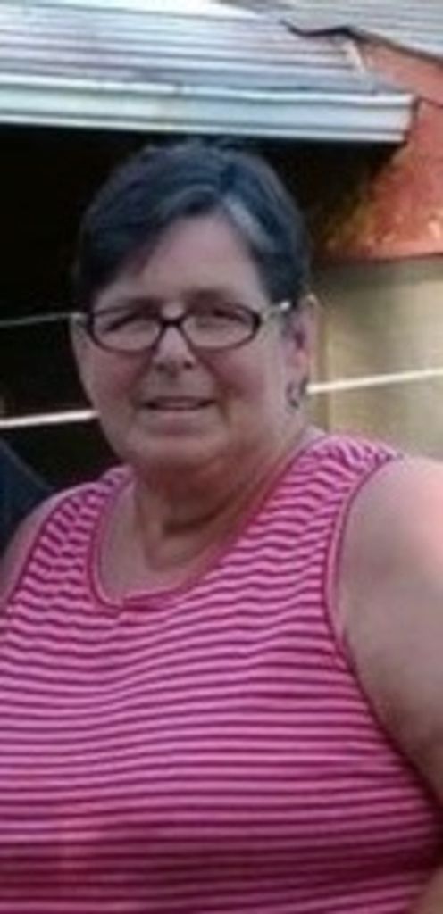 Sally Ann Bauer Profile Photo