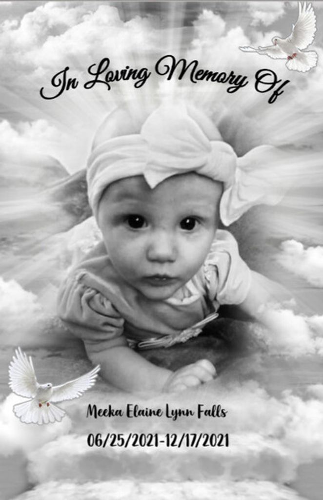 Meeka Elaine Lynn Falls Profile Photo