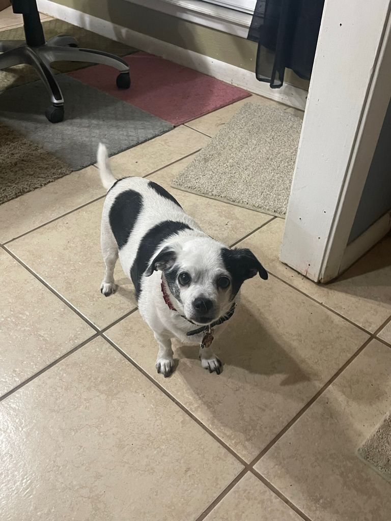 Sparkles Profile Photo