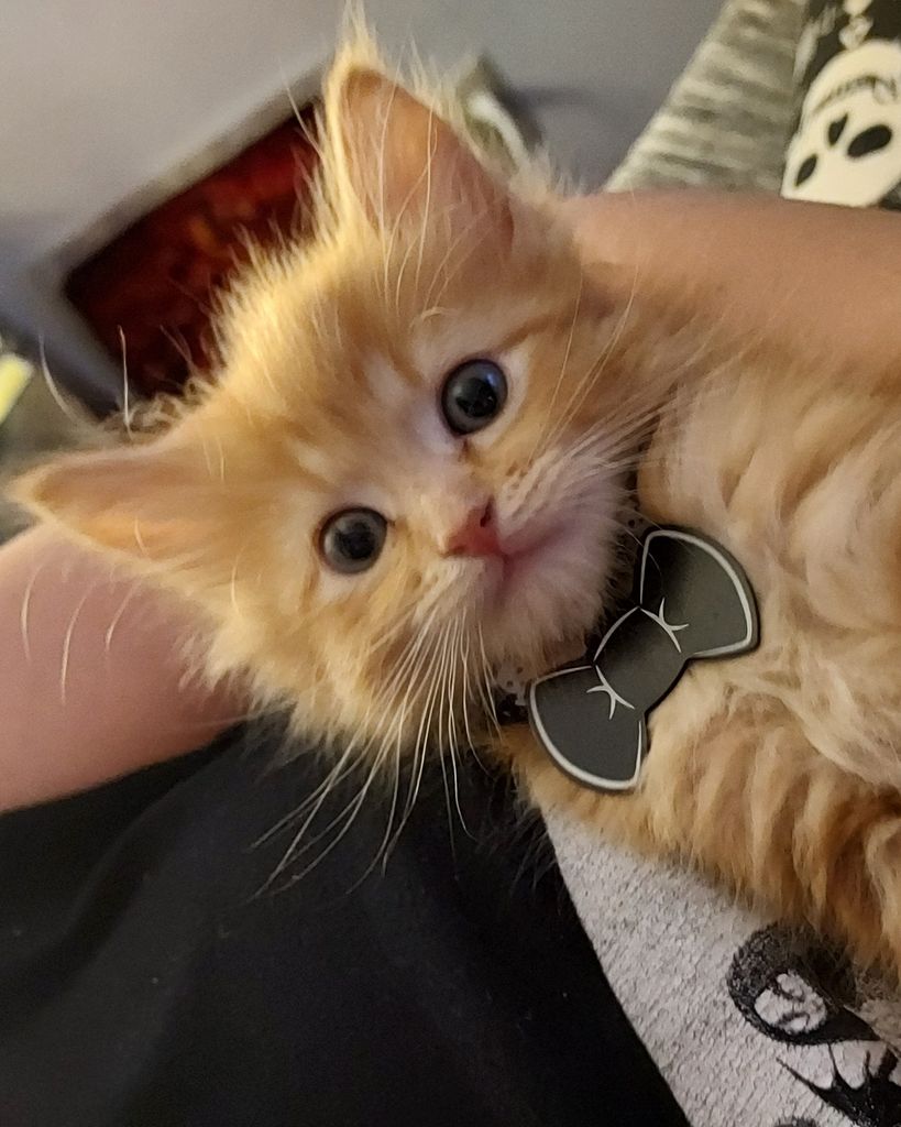 Atreyu Bibby-Clark