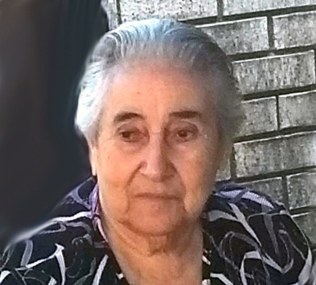 Luisa Pereira Profile Photo