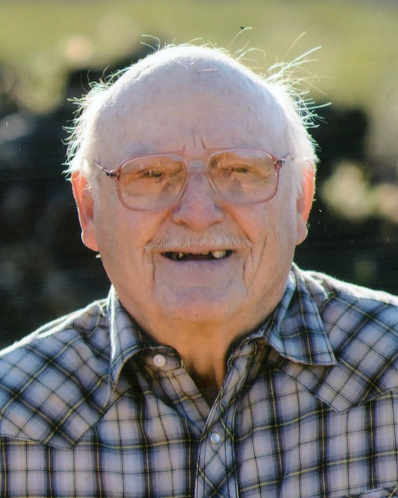 Harry Lavern Bell Profile Photo