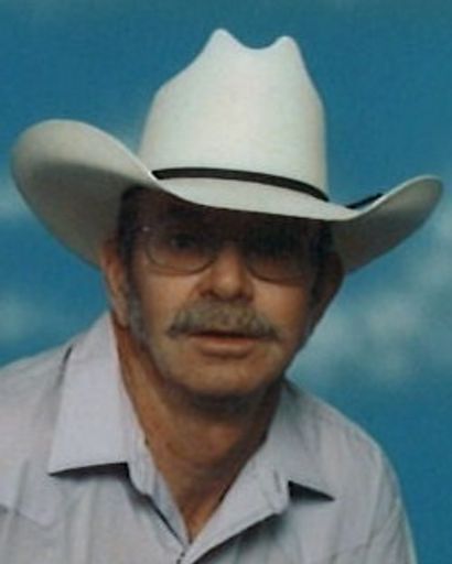 Donald William Bedilion's obituary image