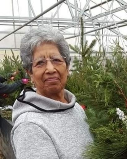 Rebecca M. Wardlaw's obituary image