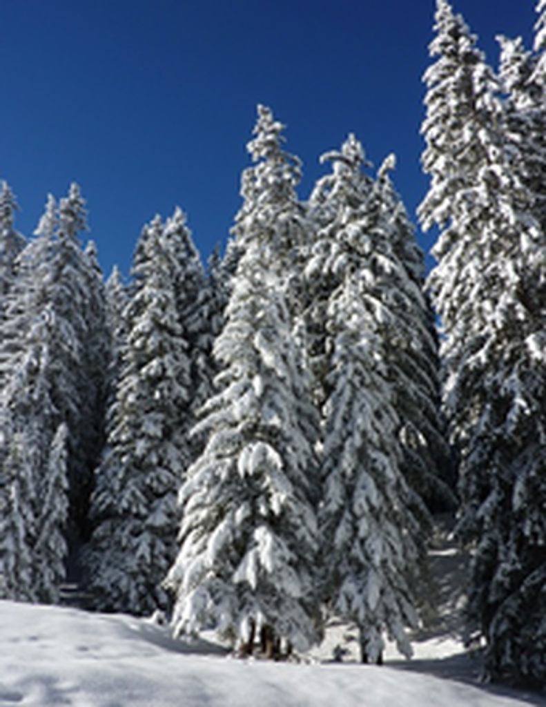 James Clinton Haney, Jr.