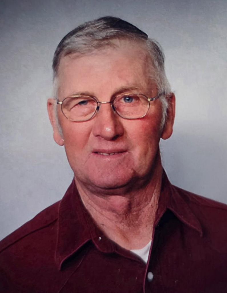 Dale L Hollenbeck