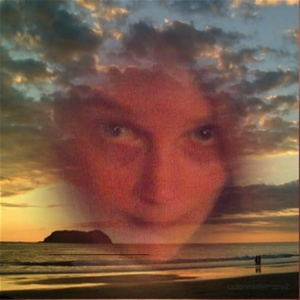 Rhonda A. Wollek Profile Photo