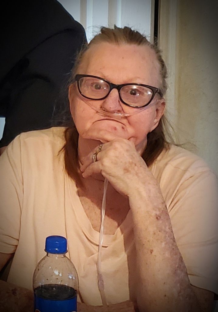 Debra Lynn (Porter)  Steele