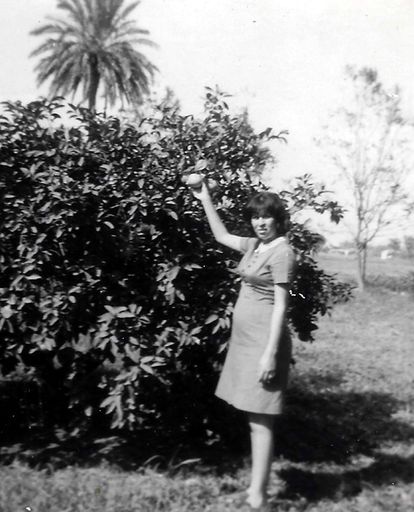 Yolanda C. Gonzalez photo gallery thumbnail 7 of 357