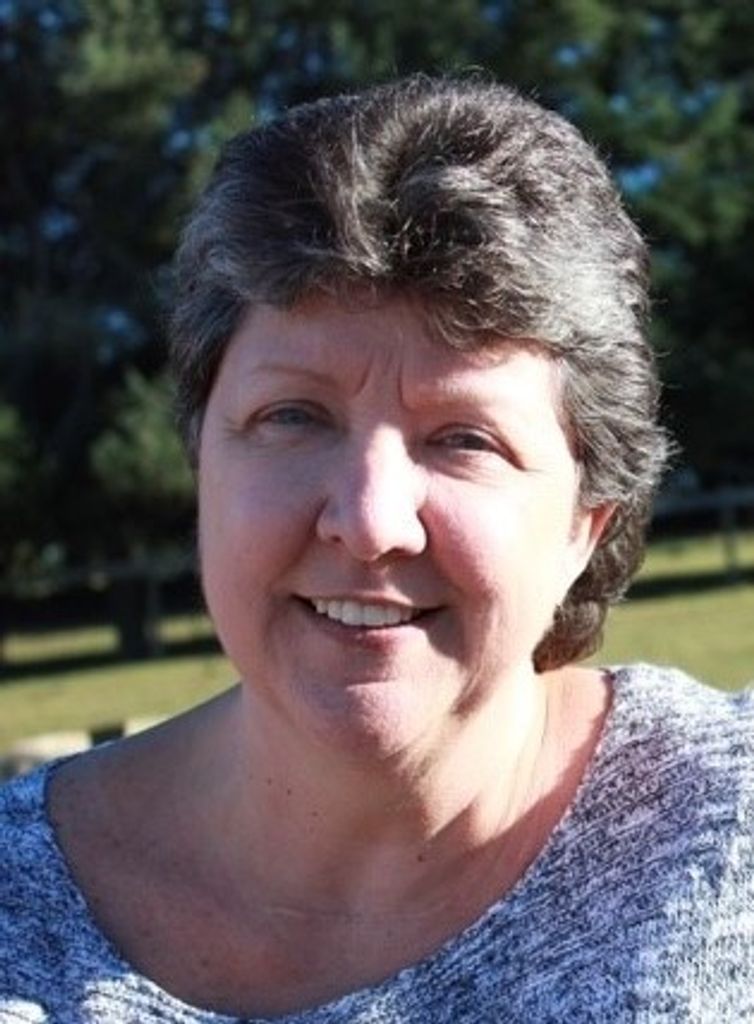 Julie (Corsini)  Wilson Profile Photo