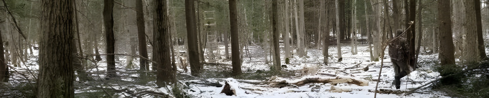 Cover for Jason John Burtch's Obituary