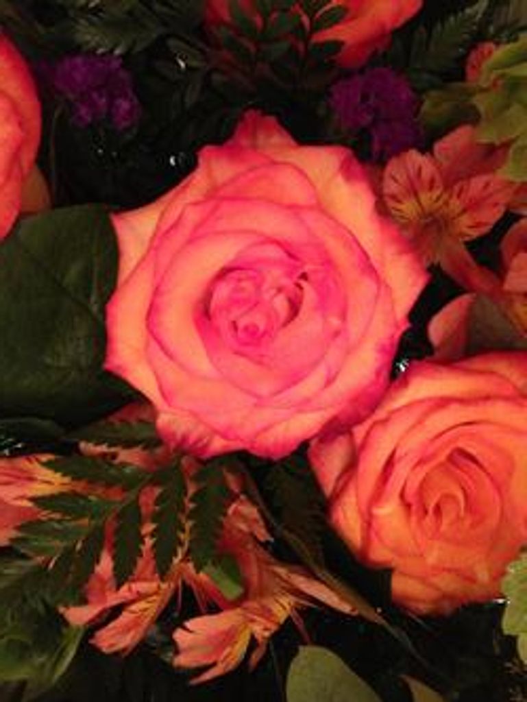 Dorothy Montee Harvell