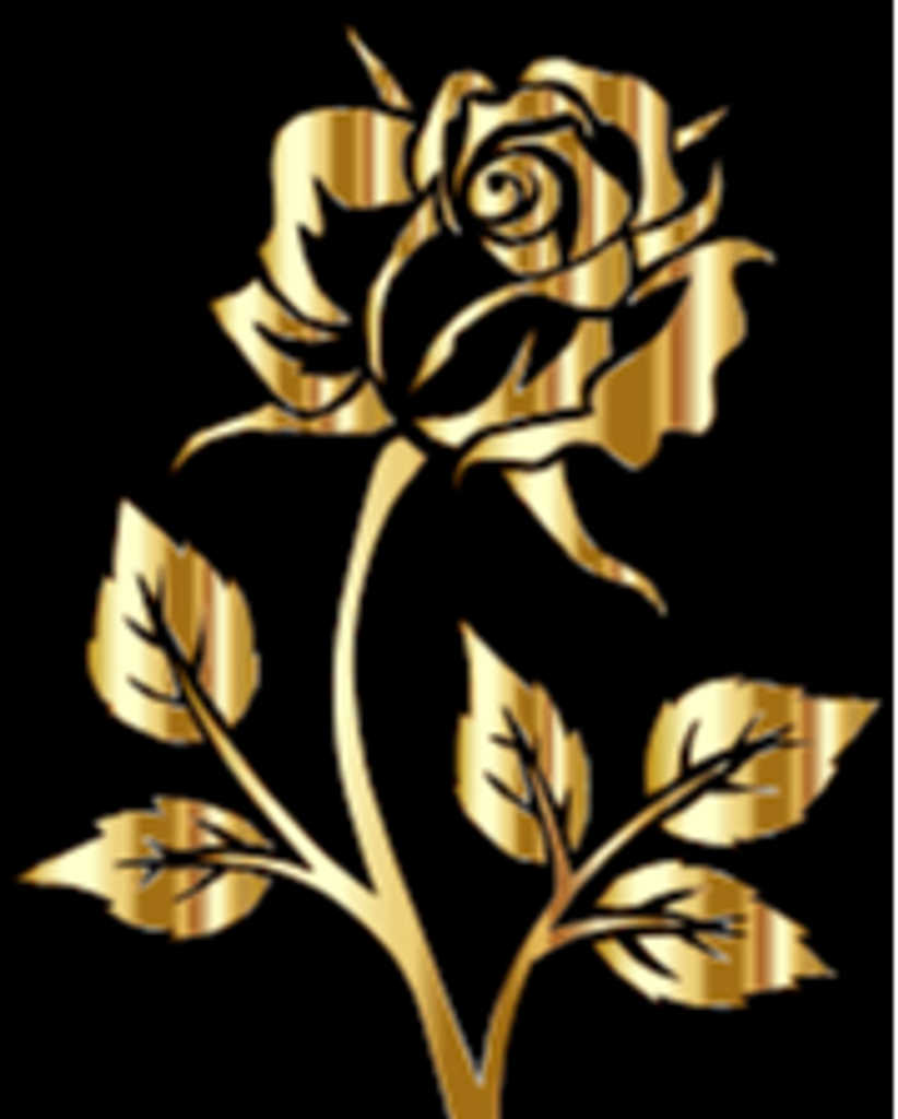 Karen Collins Profile Photo