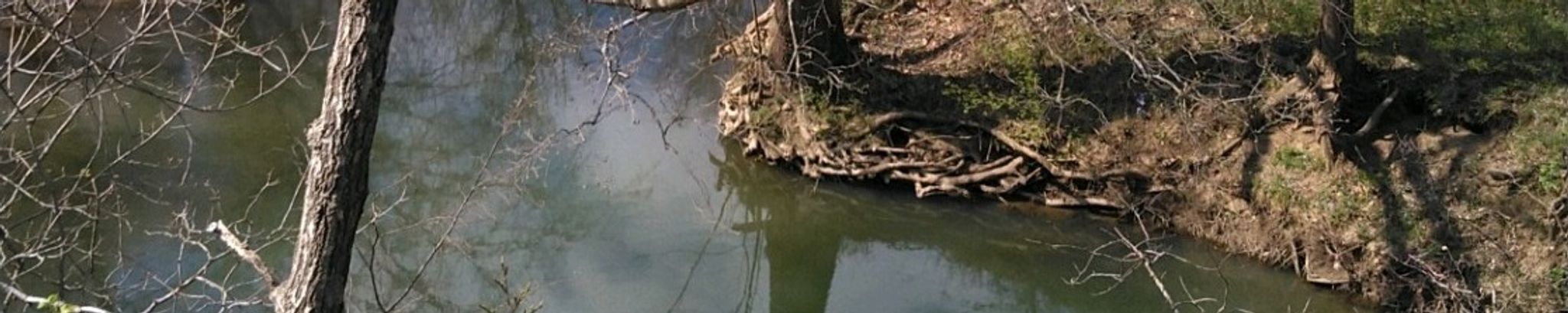 Cover for Donald Heath's Obituary