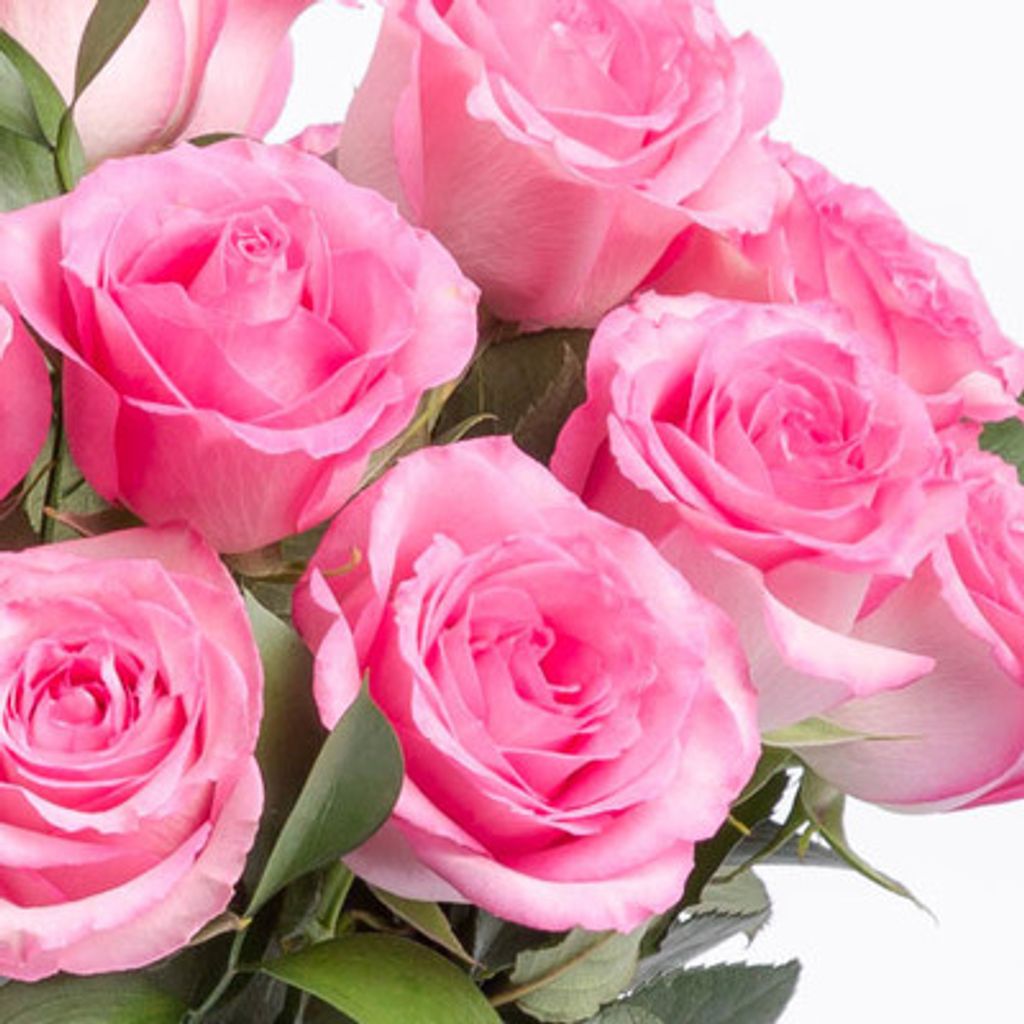 Patricia W. Cooper Profile Photo