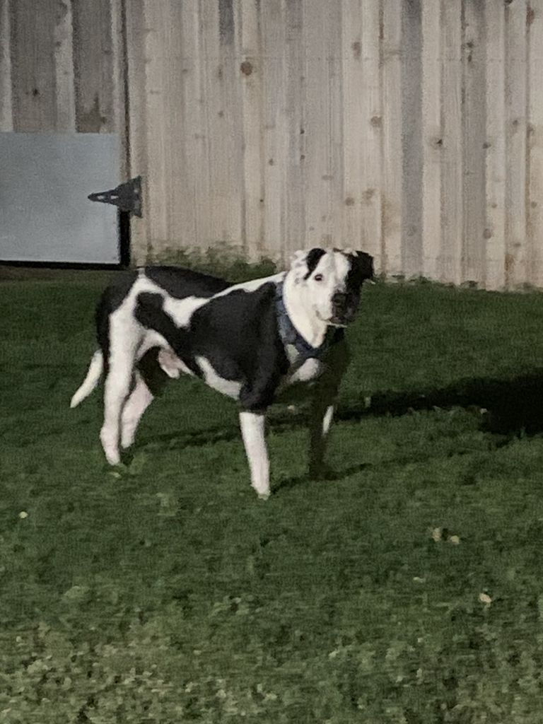 Finn Profile Photo