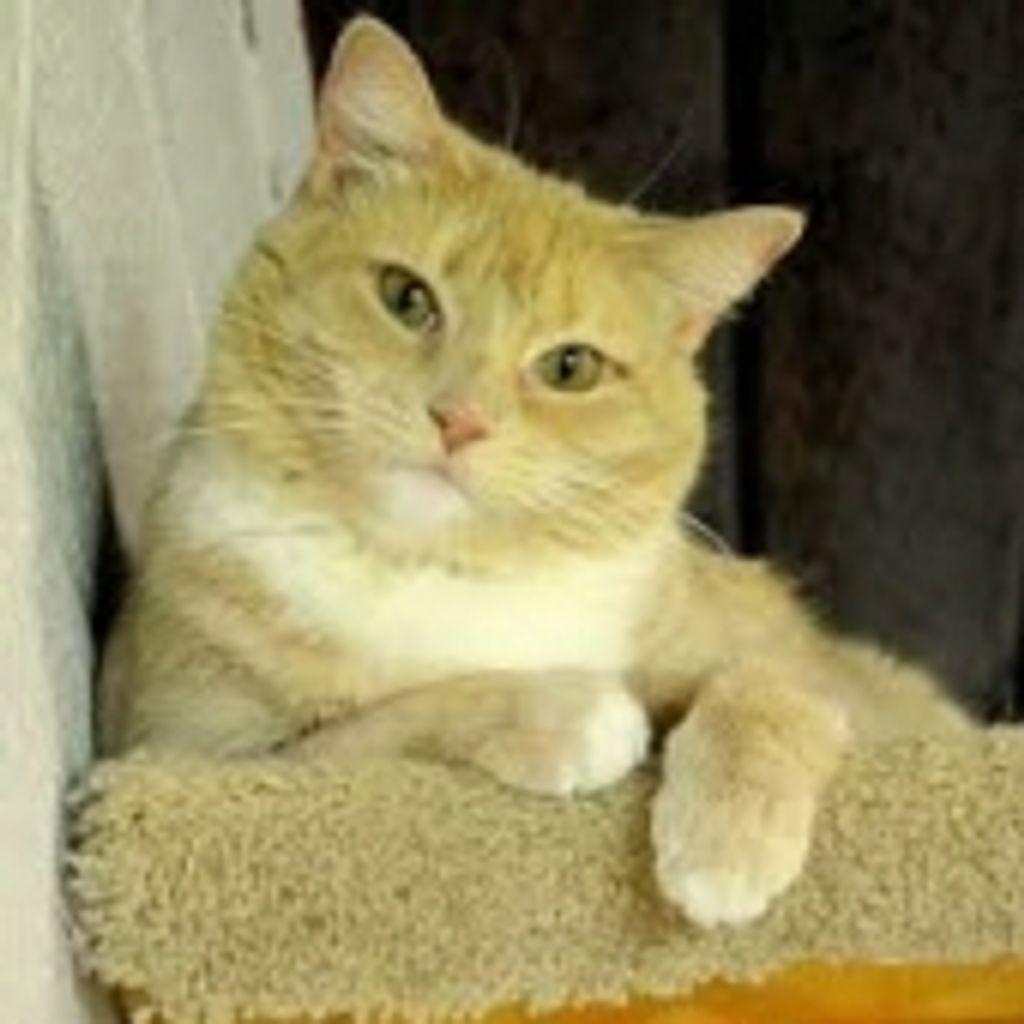 Lucky Burr Profile Photo