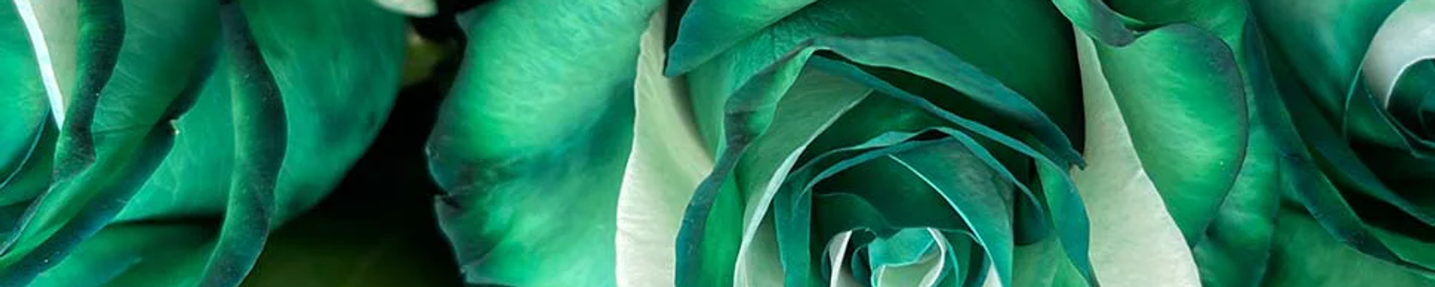 Cover for Erica Anita Robinson's Obituary