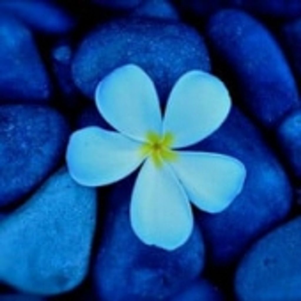 Irene Rose Glucksman