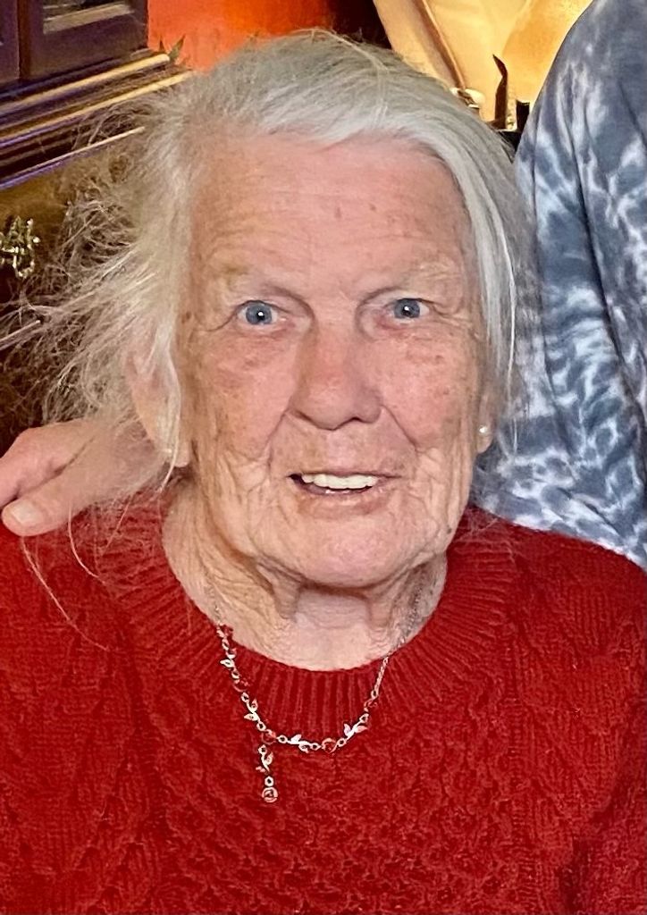 Virginia L. "Ginny" Mcdonald